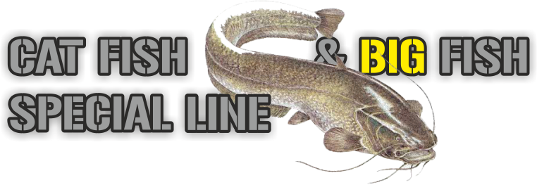 Big-fish-line.png