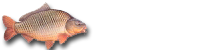 peche-carpe.png