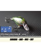 SARABAI-AGO-003 