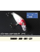 TANGOO-AGO-001 L21