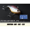 MORTISIA-AGO-002 