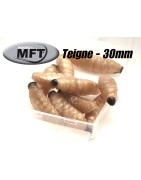 Teigne 30mm x 10pcs