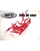 Vers de vase