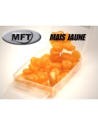 MAIS - Imitation