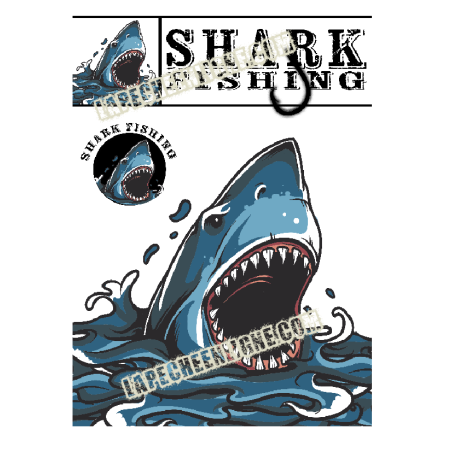 Shark Fishing