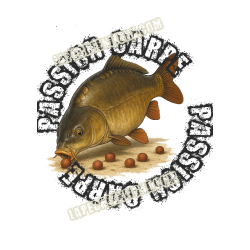 T-SHIRT - CARPE - Passion...