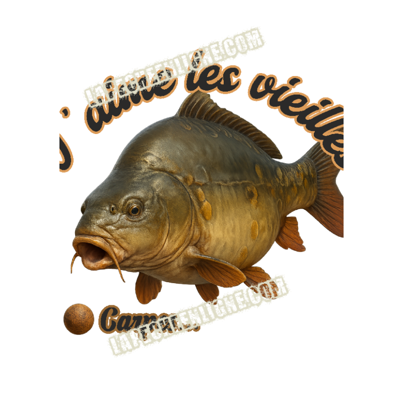 J'aime les vieilles Carpes J'aime les vieilles Carpes