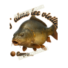 J'aime les vieilles Carpes