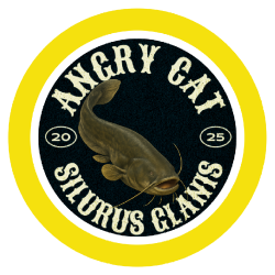 T-SHIRT - Silurus Glanis