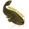 T-SHIRT - Silurus Glanis