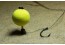 Montage Carpe Efficace : 6 Techniques Imbattables pour Plus de Captures