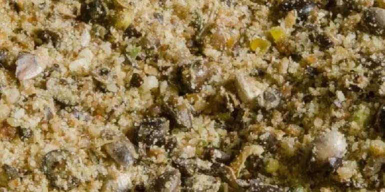 Amorce - Grosse Brème en Saône - Hiver