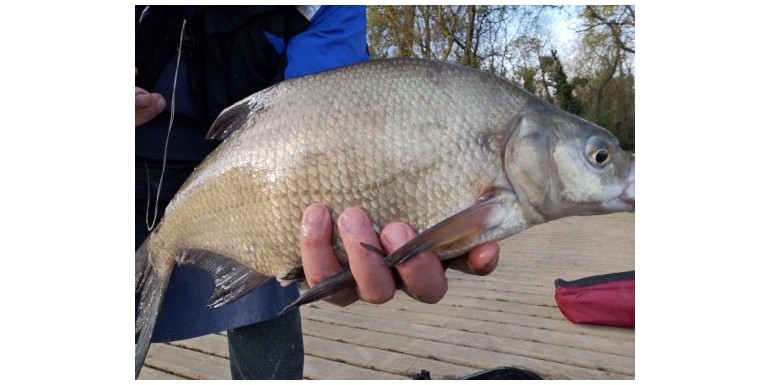 Belle journée en bord de Saône
