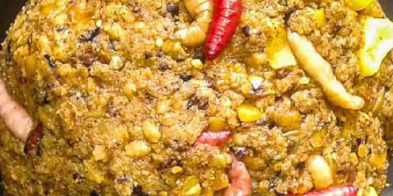 Amorce fleuve : 3 recettes maison pour carpe, brème et tanche (Saône/Rhône)