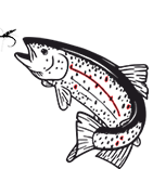 Pêche à la Truite : Matériel, Leurres & Techniques Efficaces | La Pêche en Ligne