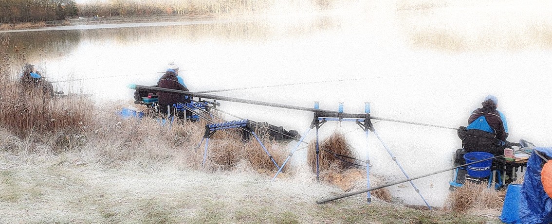 Pêche au Coup en Hiver : Techniques, Amorces et Montages Gagnants