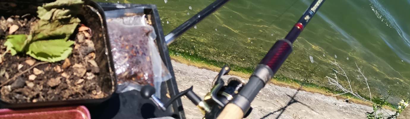 A l'anglaise : Feeder Fishing